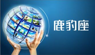 網絡營銷策劃 信息網絡經營游戲產品的多元化方法與實戰策略