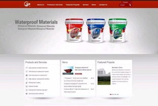 先制作，后付款——專注五年，助力企業網站建設與推廣騰飛